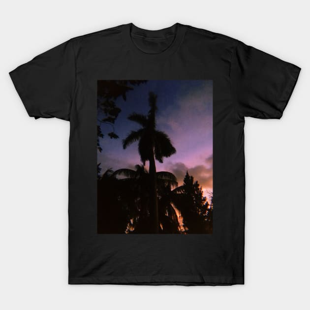 Pink Tropical Sunset T-Shirt by SoCalDreamin